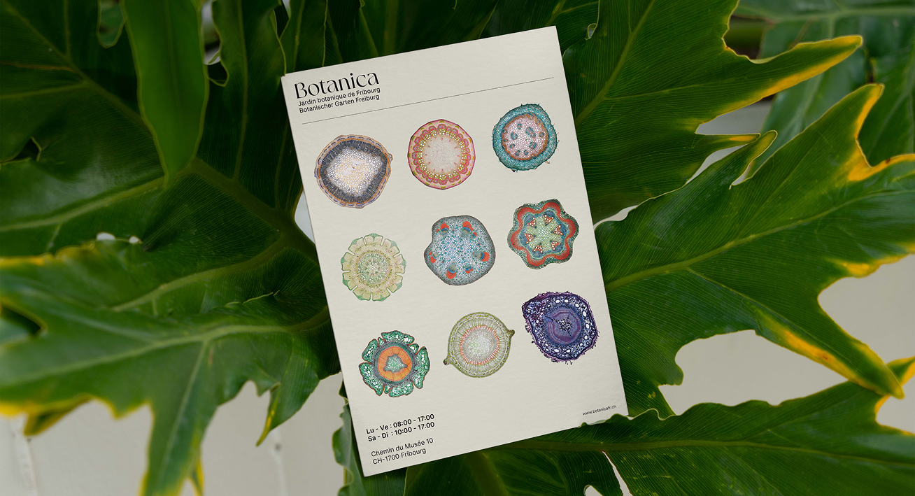 Botanica Image