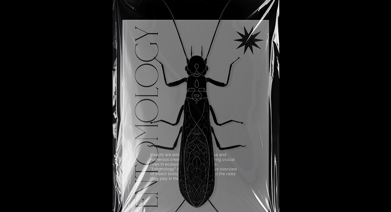 Entomology Image